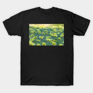 Spring meadow T-Shirt